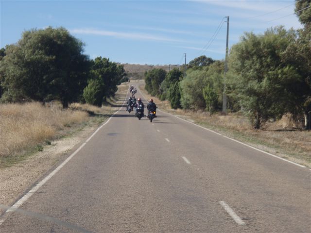 Photo courtesy of Sonya