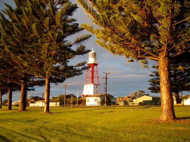 Photo courtesy of Steve