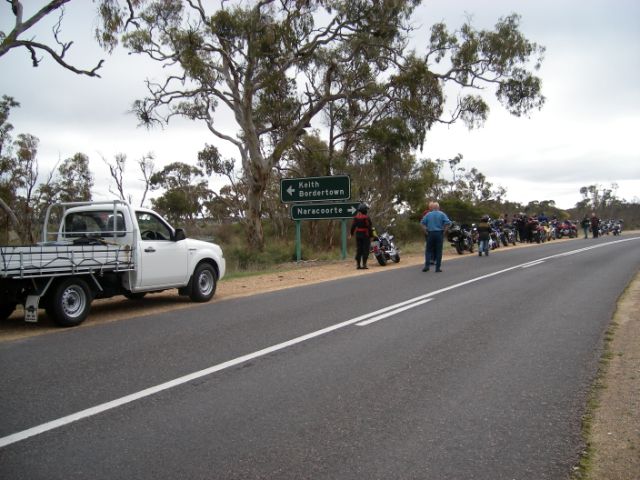 Photo courtesy of Steve