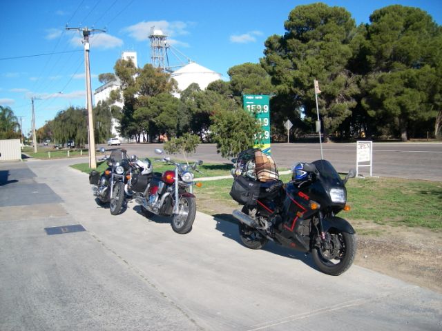 Photo courtesy of Steve