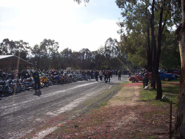 Photo Courtesy of Kelvin