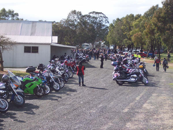 Photo Courtesy of Kelvin