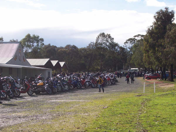 Photo Courtesy of Kelvin