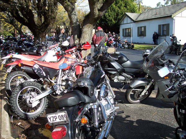 Photo Courtesy of Kelvin