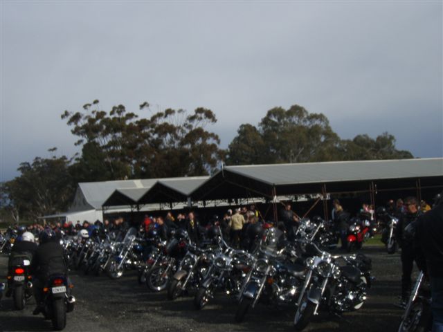 Photo courtesy Of Sonya.