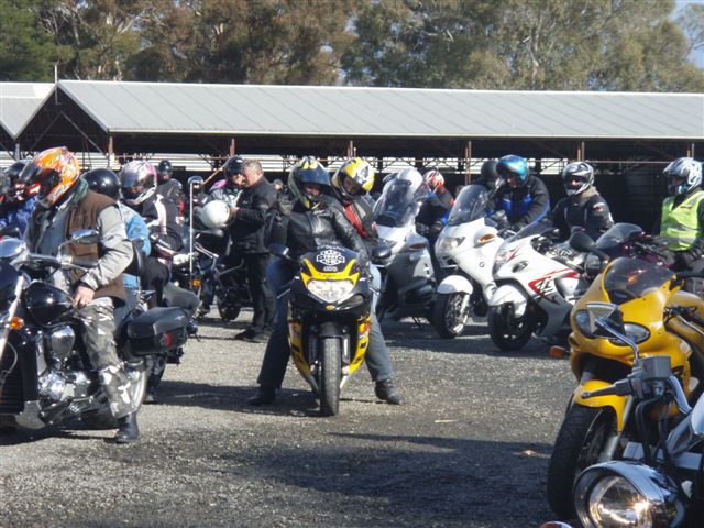 Photo courtesy Of Sonya.