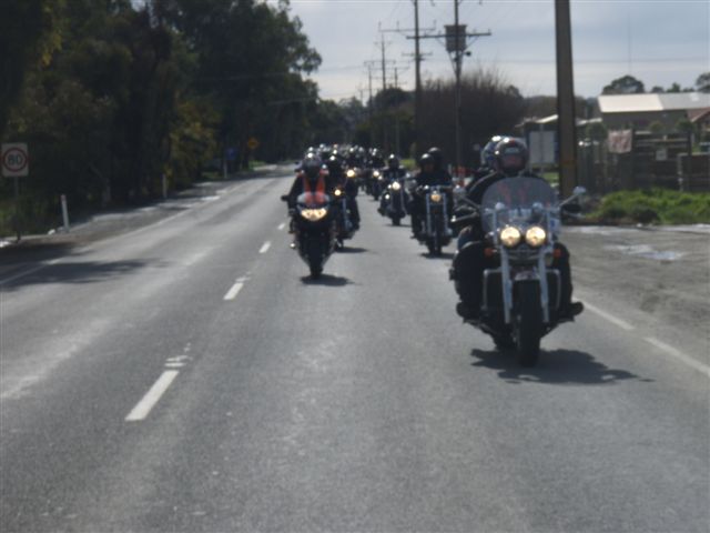 Photo courtesy Of Sonya.