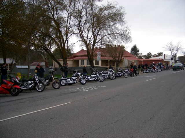 Photo Courtesy of Steve