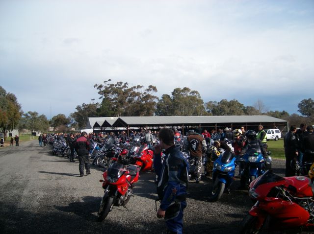 Photo Courtesy of Steve