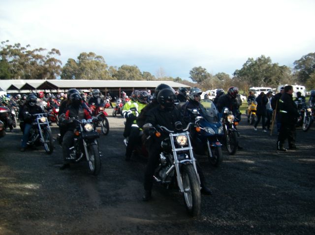 Photo Courtesy of Steve