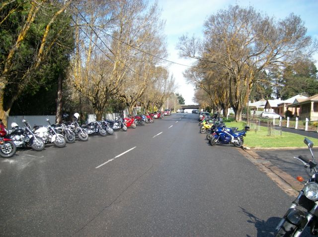 Photo Courtesy of Steve