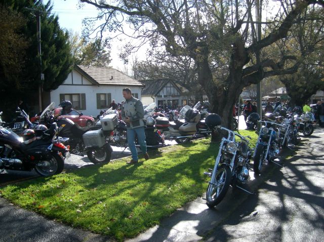 Photo Courtesy of Steve