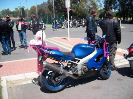 Photo courtesy of Steve.