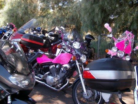 Photo courtesy of Steve.