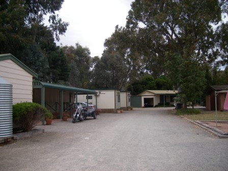 Photo courtesy of Steve