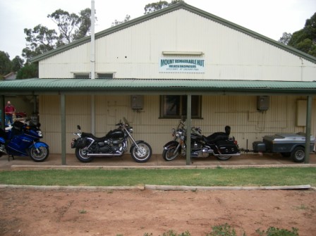 Photo courtesy of Steve