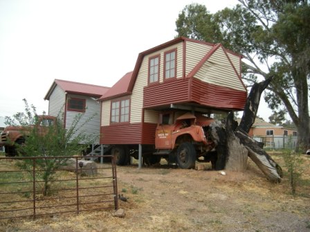 Photo courtesy of Steve