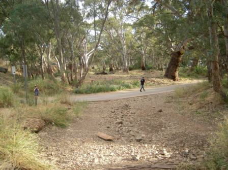 Photo courtesy of Steve