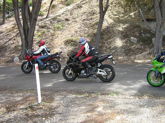 Photo courtesy of Bubbles & Dash