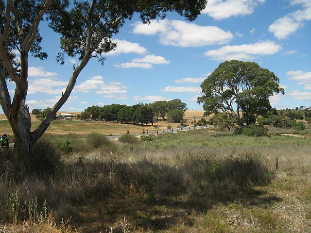 Photo courtesy of Bubbles & Dash