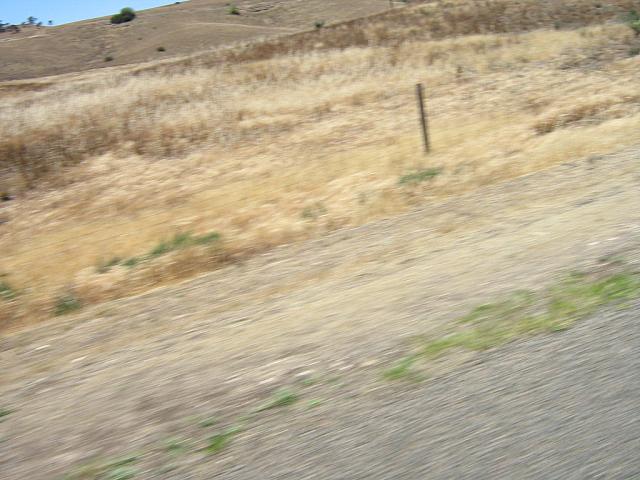 Photo courtesy of Bubbles & Dash