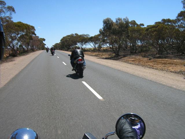 Photo courtesy of Bubbles & Dash