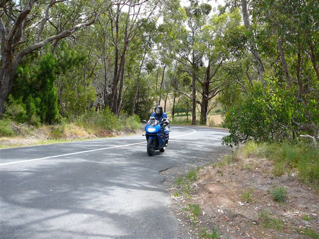 Photo courtesy of ChrisZ