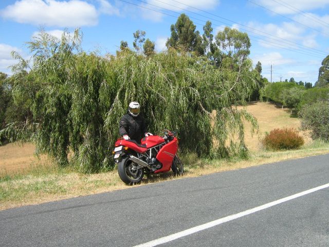 Photo courtesy of Bubbles and Dash.