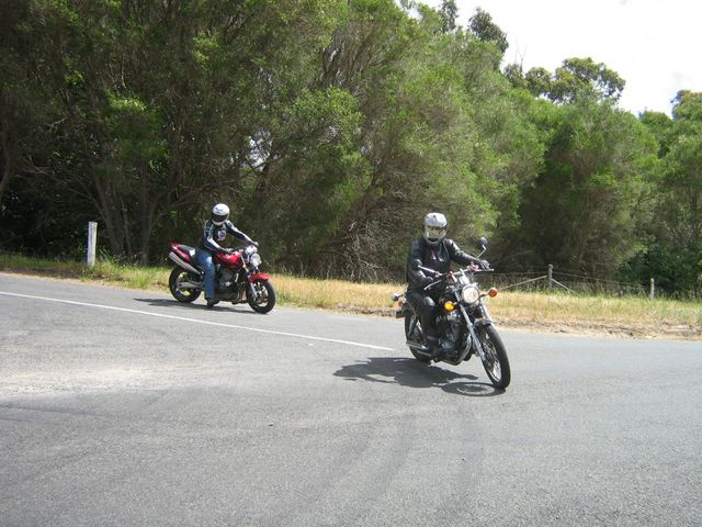 Photo courtesy of Bubbles and Dash.