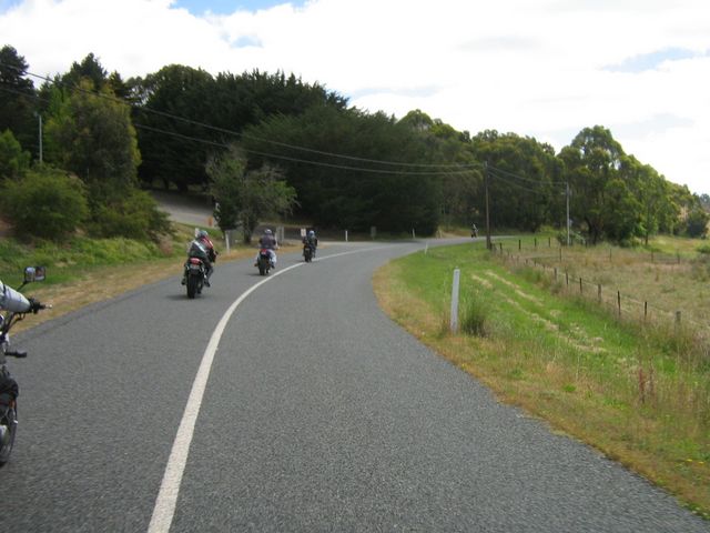 Photo courtesy of Bubbles and Dash.