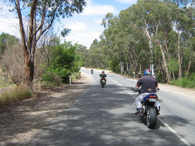 Photo courtesy of Bubbles and Dash.