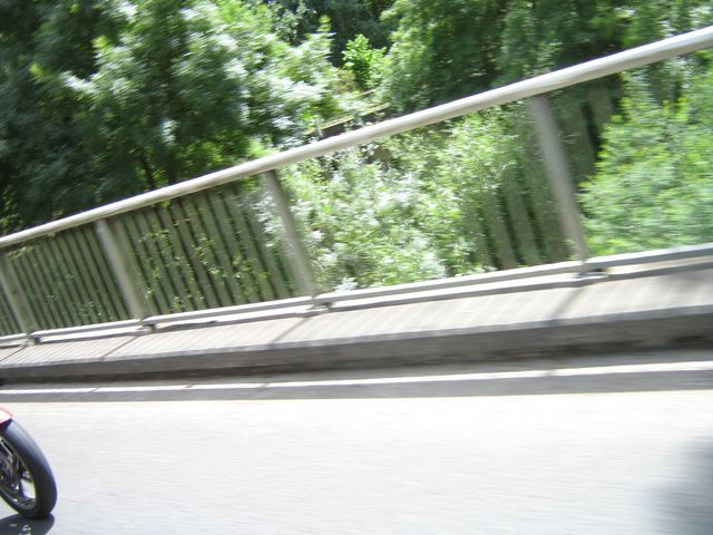 Photo courtesy of Bubbles and Dash.