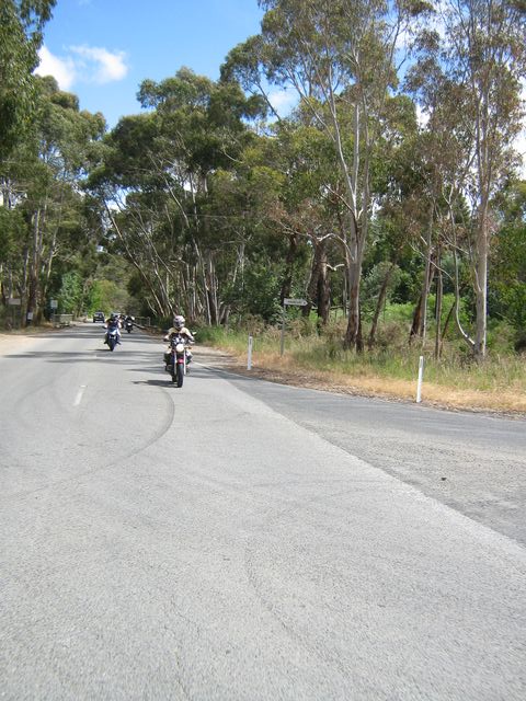 Photo courtesy of Bubbles and Dash.