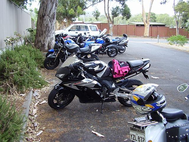 Photo courtesy of Daryl.