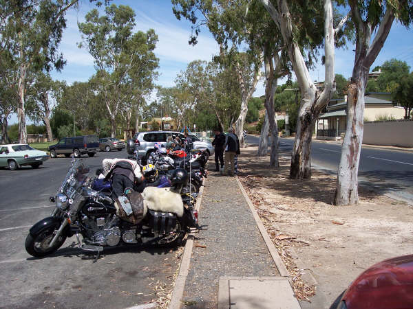 Photo Courtesy of Kelvin