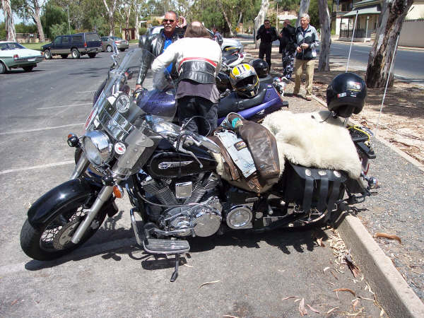 Photo Courtesy of Kelvin