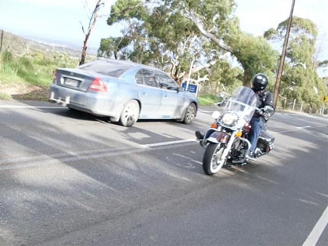 Photo courtesy of Shannon