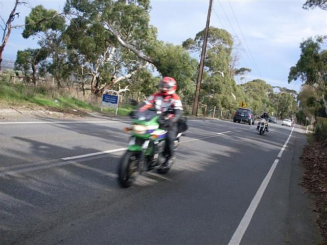 Photo courtesy of Shannon