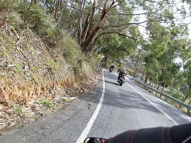 Photo courtesy of Shannon