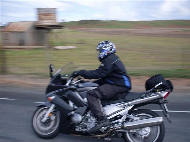 Photo courtesy of Shannon