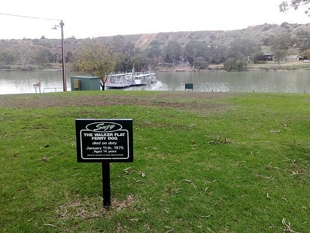 Photo courtesy of Nasef