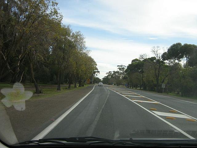 Photo courtesy of Kaye & Marcus