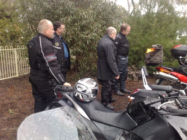 Photo courtesy of Nasef.