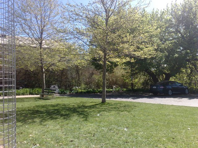 Photo courtesy of Nasef.