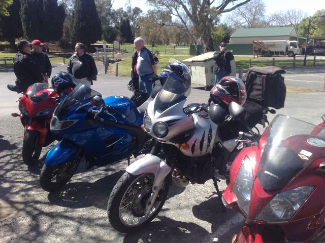 Photo courtesy of Nasef.