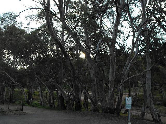 Photo courtesy of Kaye