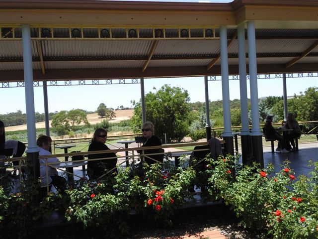 Photo courtesy of David