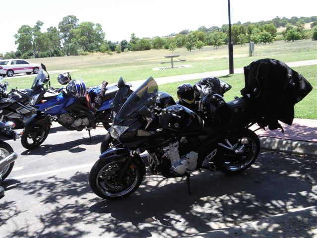 Photo courtesy of David