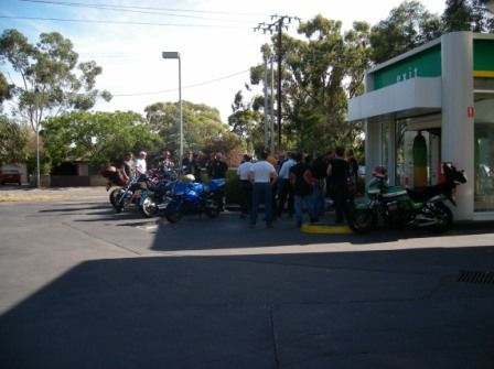 Photo courtesy of Steve