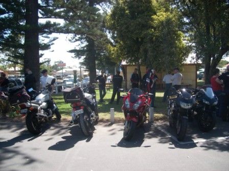 Photo courtesy of Steve